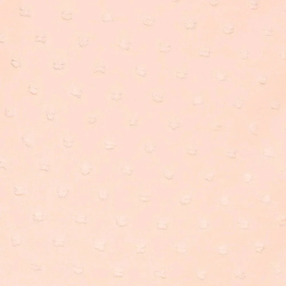 NWT Revolve Privacy Please Rasika Gown in Blush Pink Dotted Texture Size: Medium - Picture 4 of 11